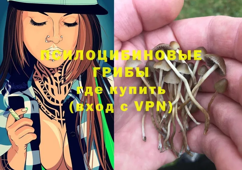 Галлюциногенные грибы Cubensis  Барыш 